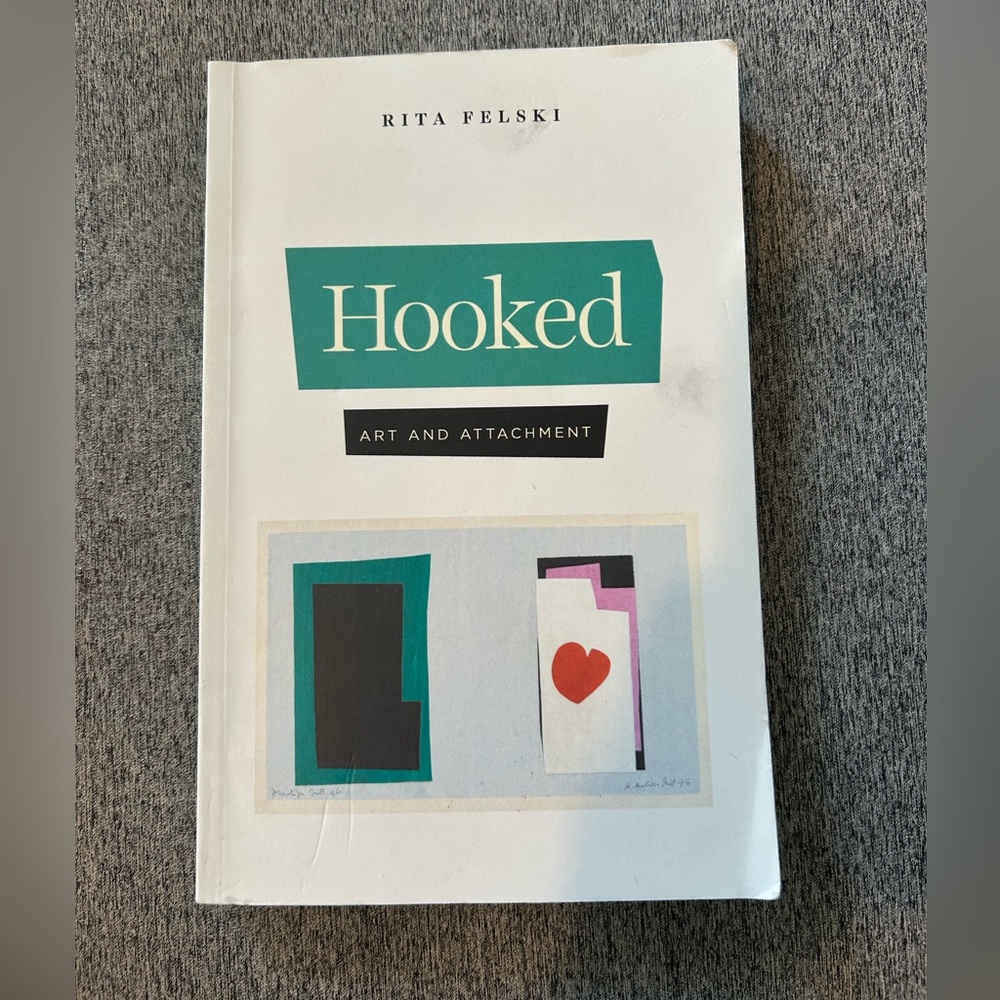 Hooked Art and Attachment by Rita Felski Paperback